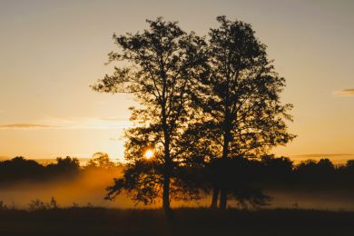 Dr. Heinz Müller: Herbstlicher Sonnenaufgang